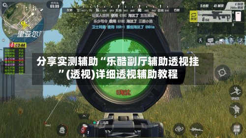 分享实测辅助“乐酷副厅辅助透视挂	”(透视)详细透视辅助教程-第2张图片