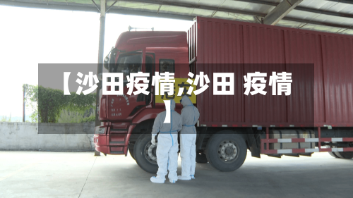 【沙田疫情,沙田 疫情】-第2张图片