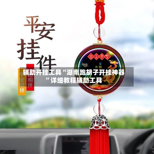 辅助开挂工具“湖南跑胡子开挂神器”详细教程辅助工具-第3张图片