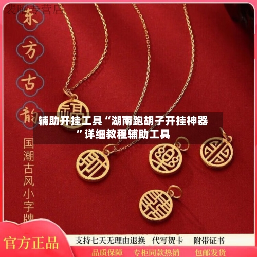 辅助开挂工具“湖南跑胡子开挂神器	”详细教程辅助工具-第2张图片