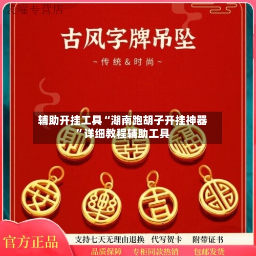 辅助开挂工具“湖南跑胡子开挂神器”详细教程辅助工具