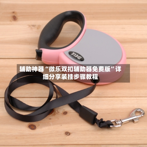 辅助神器“微乐双扣辅助器免费版”详细分享装挂步骤教程