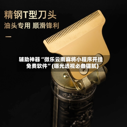 辅助神器“微乐云南麻将小程序开挂免费软件”(曝光透视必备猫腻)-第2张图片