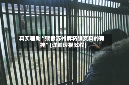 真实辅助“猴猴苏州麻将确实真的有挂”(详细透视教程)-第2张图片