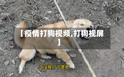 【疫情打狗视频,打狗视屏】