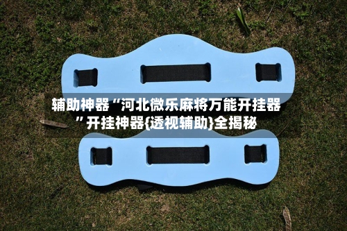 辅助神器“河北微乐麻将万能开挂器”开挂神器{透视辅助}全揭秘-第2张图片