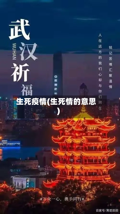 生死疫情(生死情的意思)
