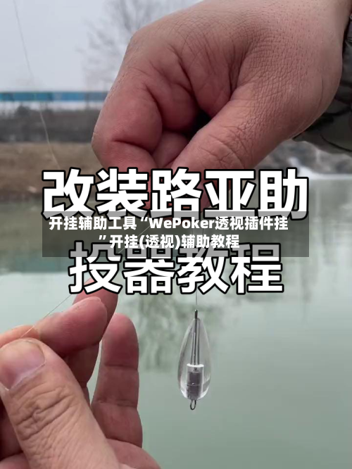开挂辅助工具“WePoker透视插件挂”开挂(透视)辅助教程