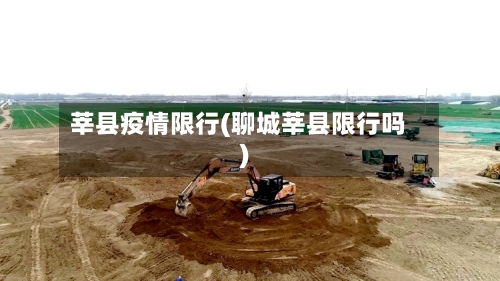 莘县疫情限行(聊城莘县限行吗)